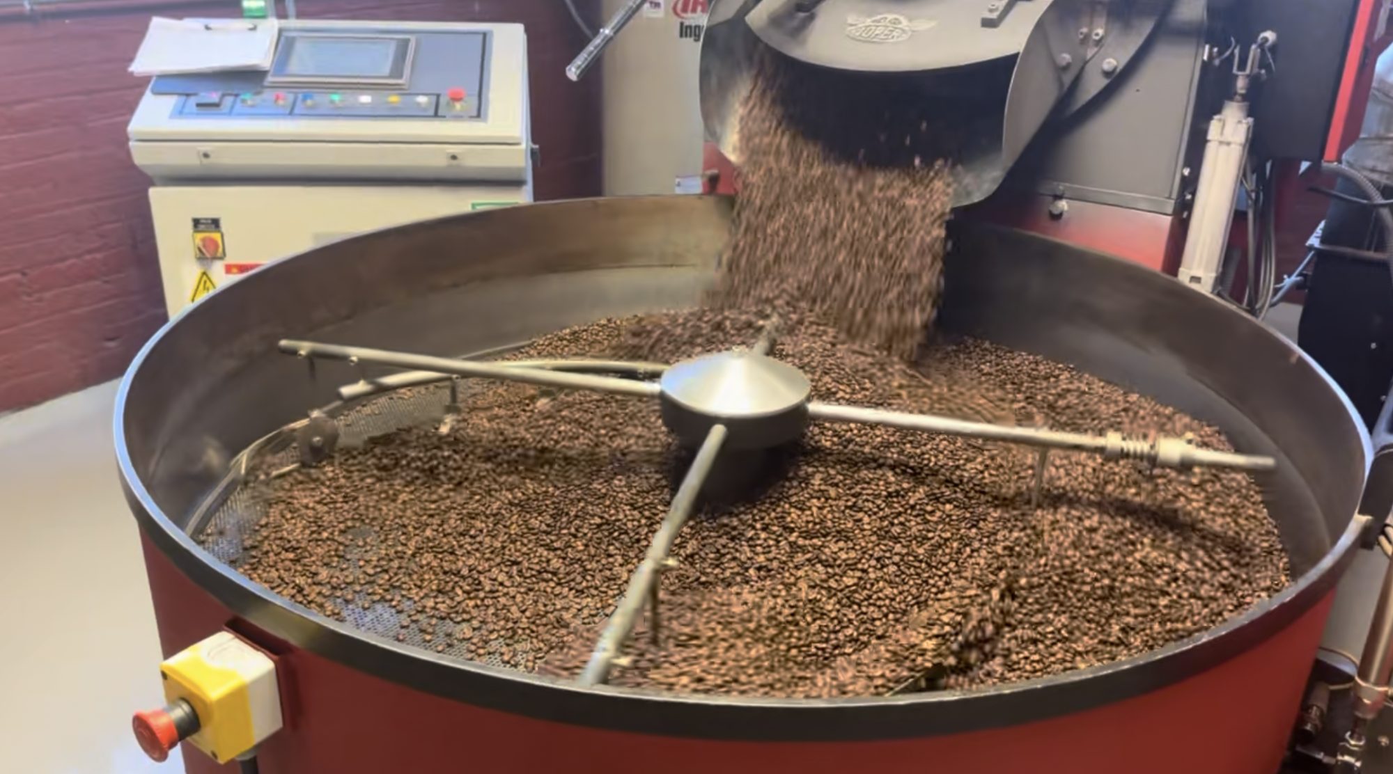 Coffee beans pouring out of a roaster during our visit to a coffee roaster